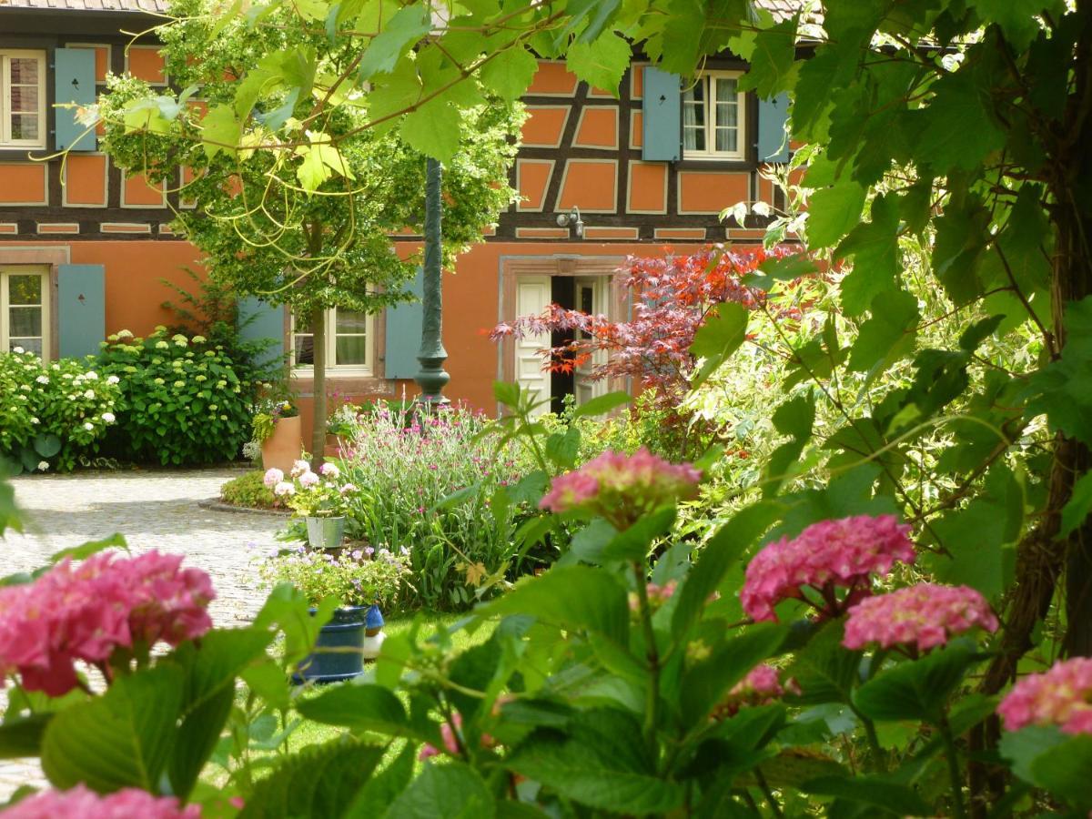 Hotel Le Moulin Gundershoffen Esterno foto